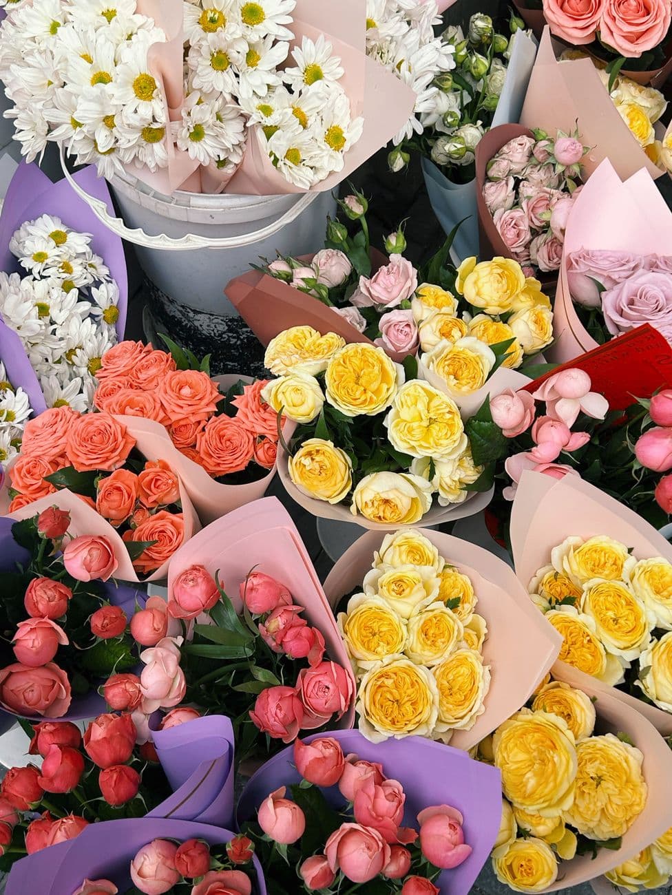 Petals & Stems